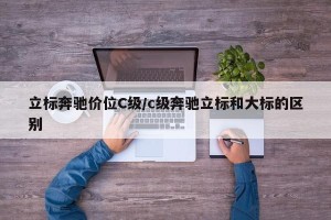 立标奔驰价位C级/c级奔驰立标和大标的区别