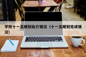 学院十一五规划执行情况（十一五规划完成情况）