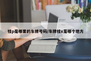 桂p是哪里的车牌号码/车牌桂x是哪个地方